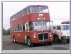 Barton Transport Regent V by John Law (59k)